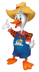 Mascote Reginaldo Hotel Fazenda Casarão do Vale