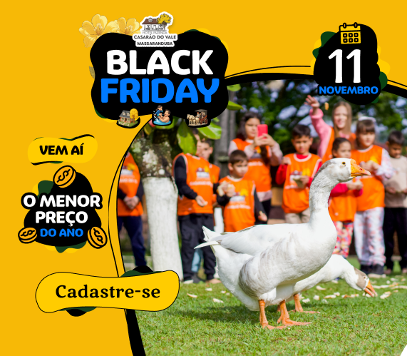 black_friday_casarao_do_Vale