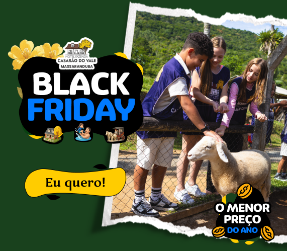 Black_friday_casarao_2025